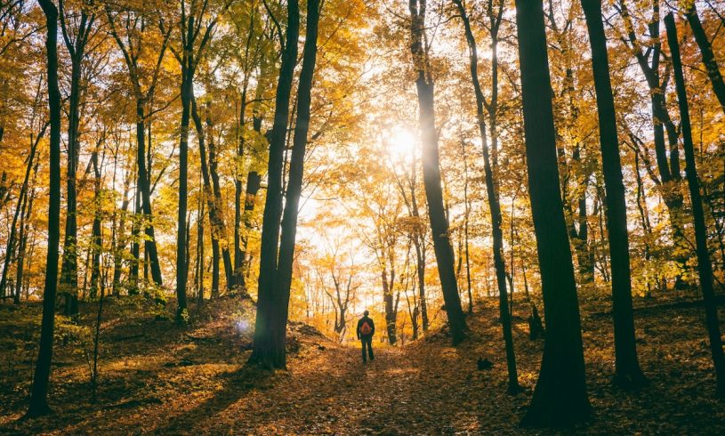 Leading People to a Life of Faith in a Culture Not Sure What to Believe